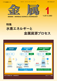 金属Vol.95 No.1表紙