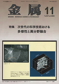 金属Vol.95 No.11表紙